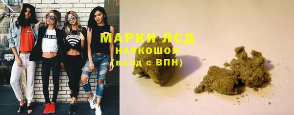 гашик Богданович