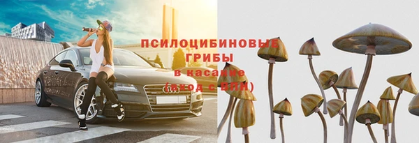 прущая мука Богородск