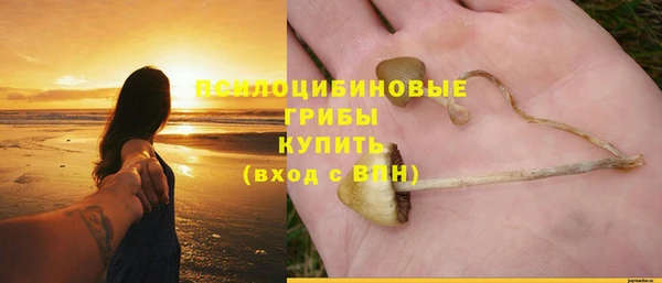 гашик Богданович