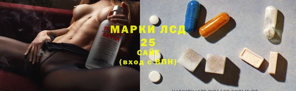 гашик Богданович