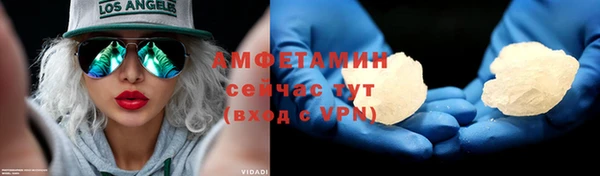 гашик Богданович