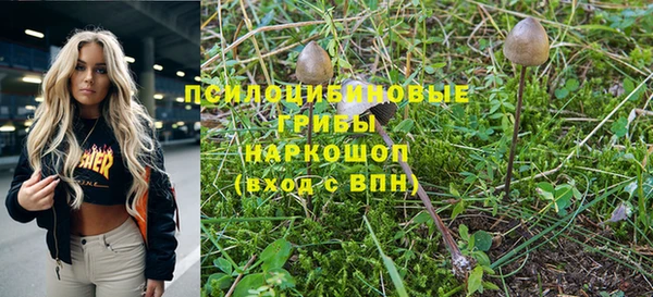 MESCALINE Богородицк